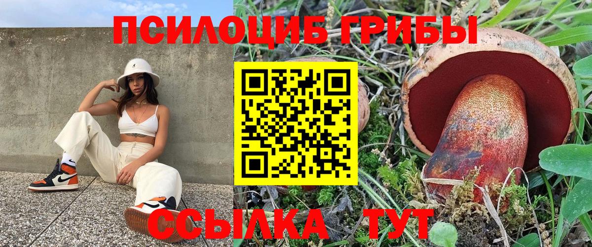 Казань  Галлюциногенные грибы MAGIC MUSHROOMS  Псилоцибиновые грибы MAGIC MUSHROOMS  Вход с VPN 