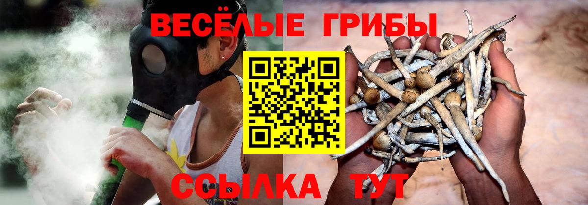 Псилоцибиновые грибы мухоморы Казань